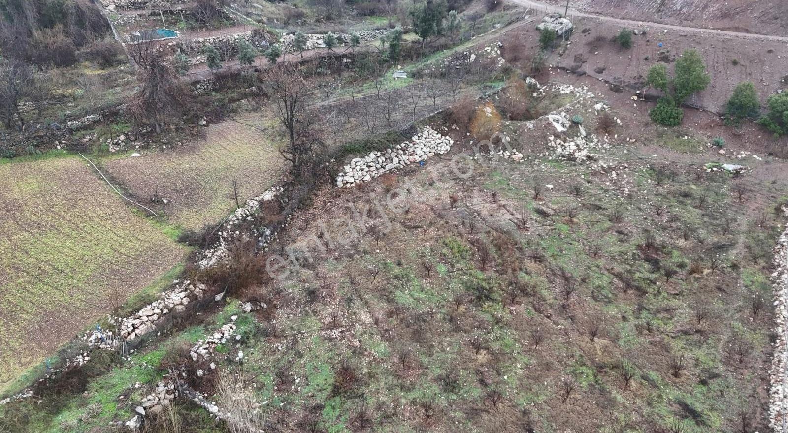 Kuzcada Müstakil Tapulu Satılık Tarla