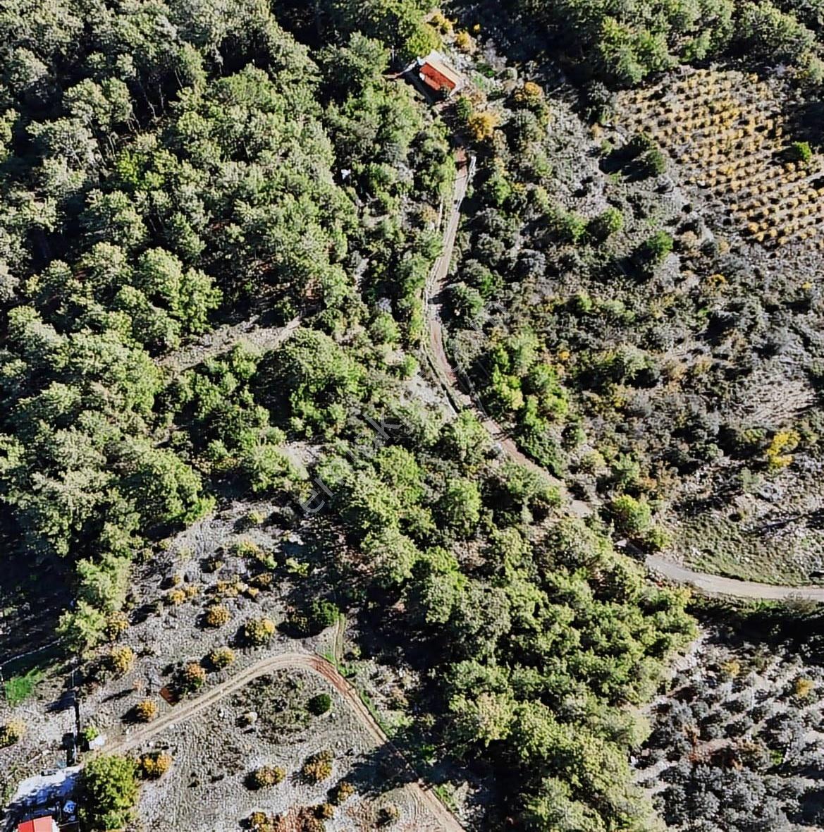 07 Truva Emlaktan Olimposta Satılık Müstakil Arazi - Görsel 23