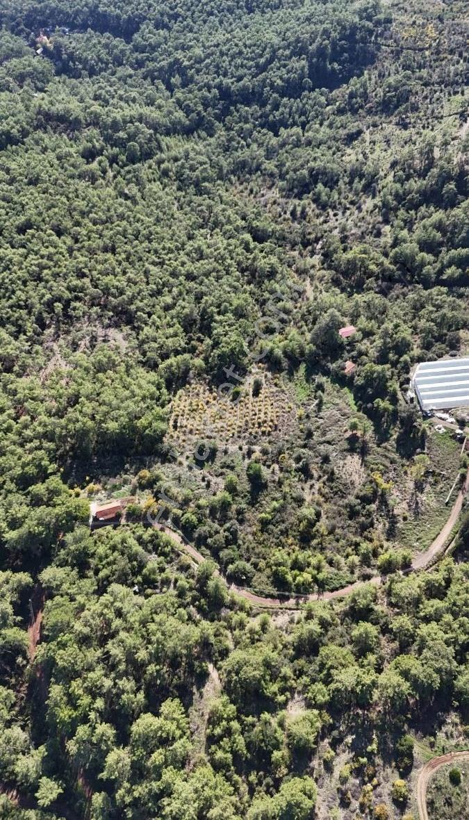 07 Truva Emlaktan Olimposta Satılık Müstakil Arazi - Görsel 17