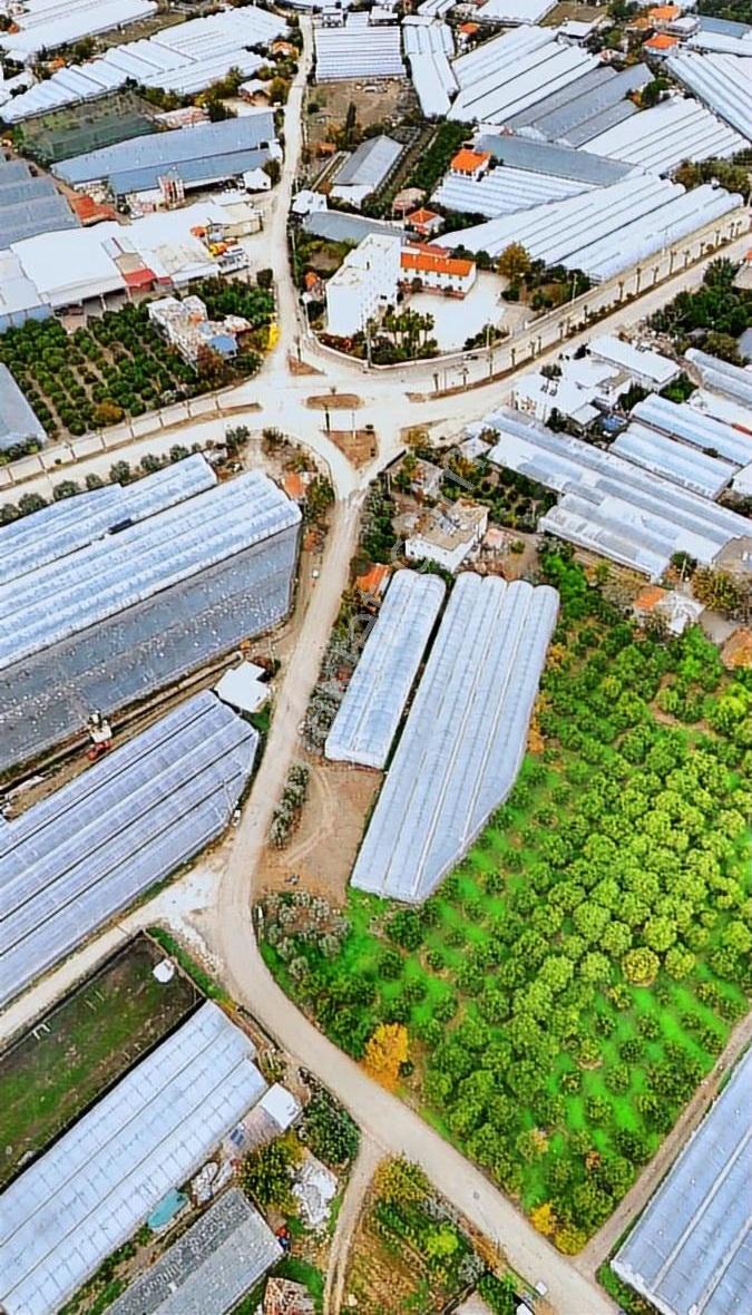 Finike Hasyurt Sahilde Asfalta Sıfır Satılık Arsa - Görsel 30