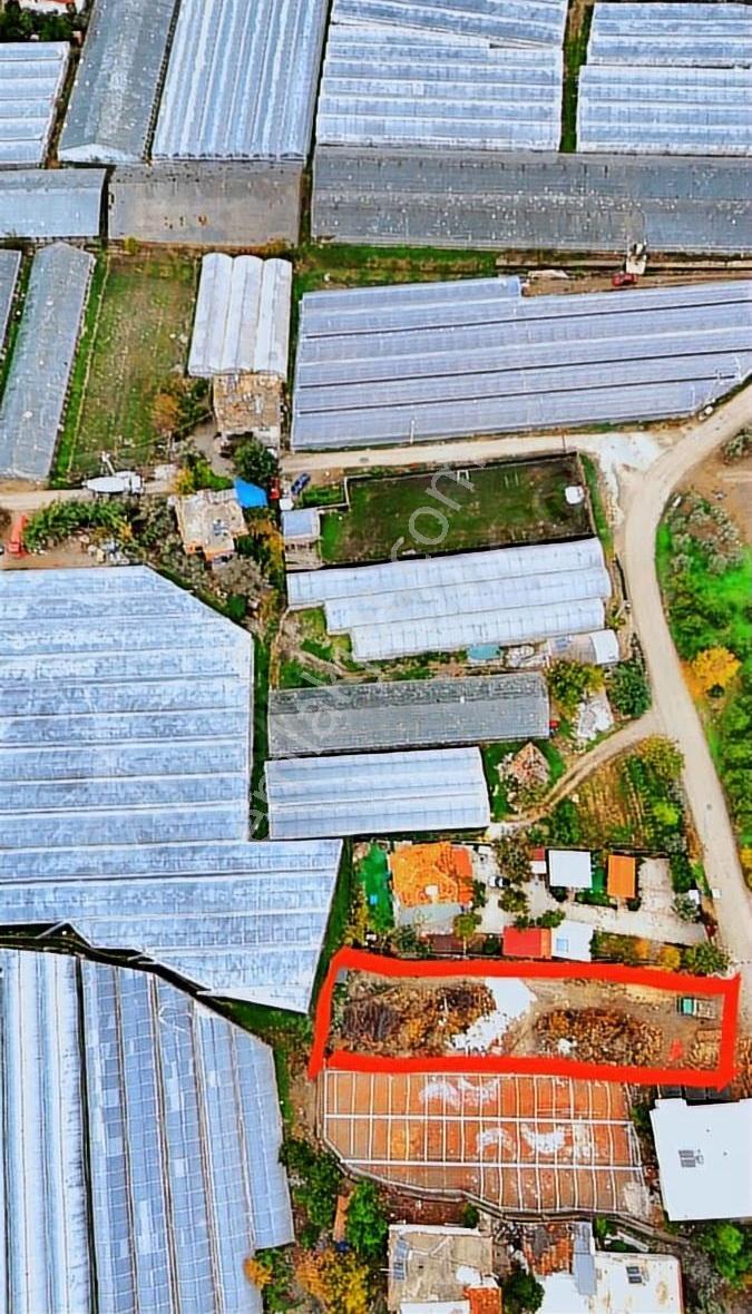 Finike Hasyurt Sahilde Asfalta Sıfır Satılık Arsa - Görsel 17