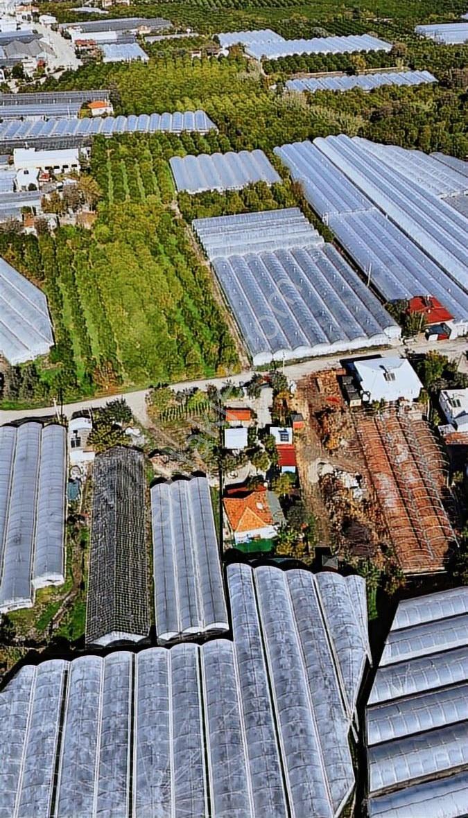 Finike Hasyurt Sahilde Asfalta Sıfır Satılık Arsa - Görsel 22