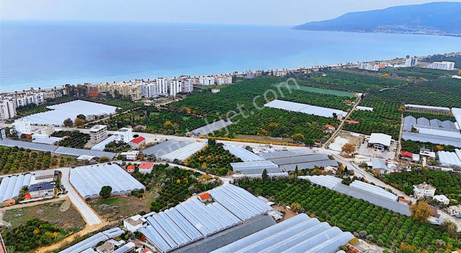 Finike Hasyurt Sahilde Asfalta Sıfır Satılık Arsa - Görsel 4