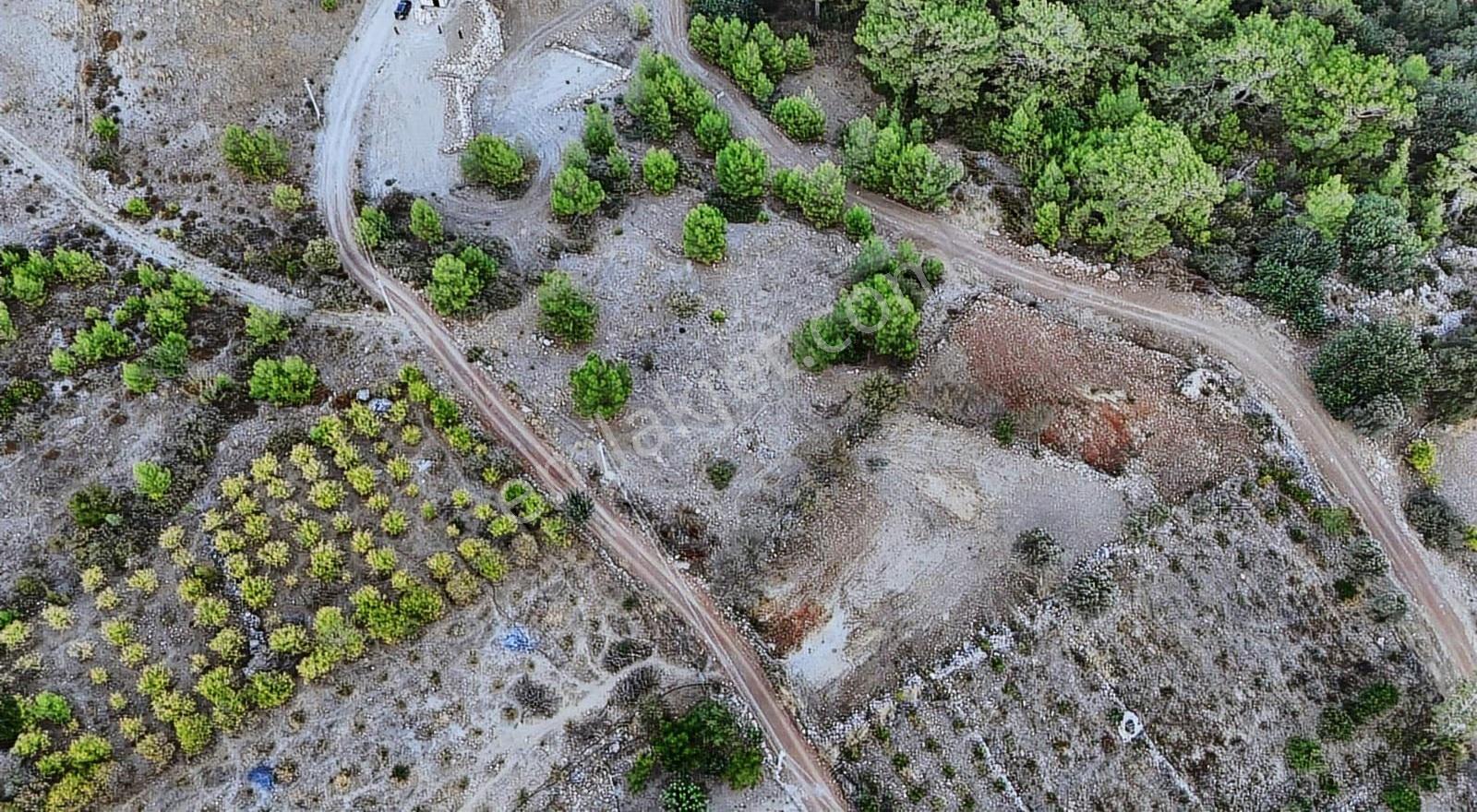 07 Truva Emlaktan Kumluca Adrasanda Satılık Manzaralı Tarla - Görsel 10