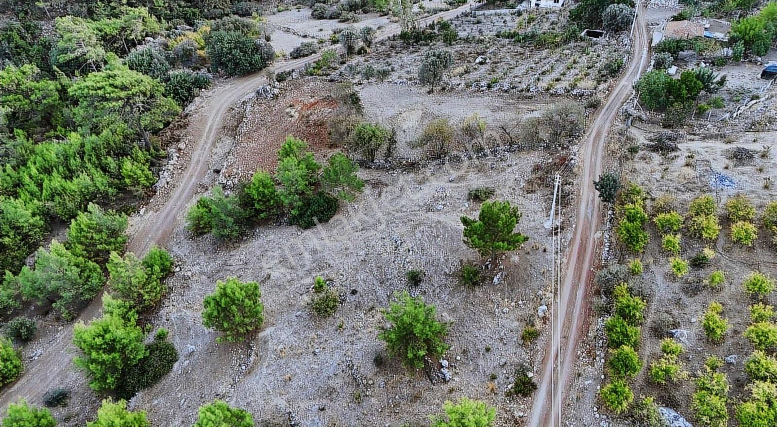 07 Truva Emlaktan Kumluca Adrasanda Satılık Manzaralı Tarla - Görsel 4