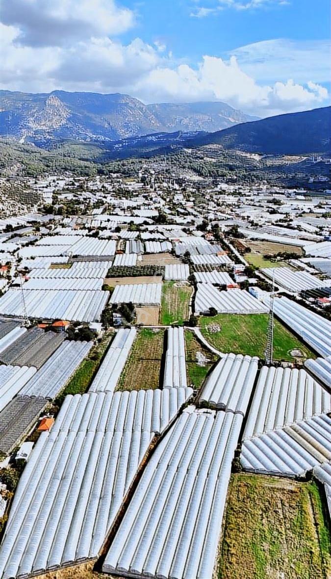 Kazançlı Tarım Ve Yatırım Kaş Yeşilköy De Satılık Sera - Görsel 20