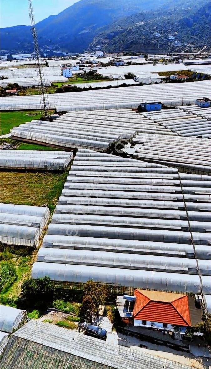 Kazançlı Tarım Ve Yatırım Kaş Yeşilköy De Satılık Sera - Görsel 27