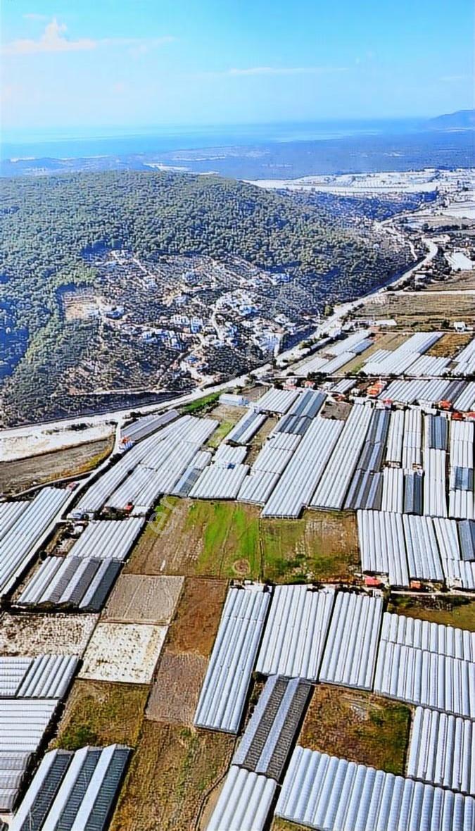 Kazançlı Tarım Ve Yatırım Kaş Yeşilköy De Satılık Sera - Görsel 12