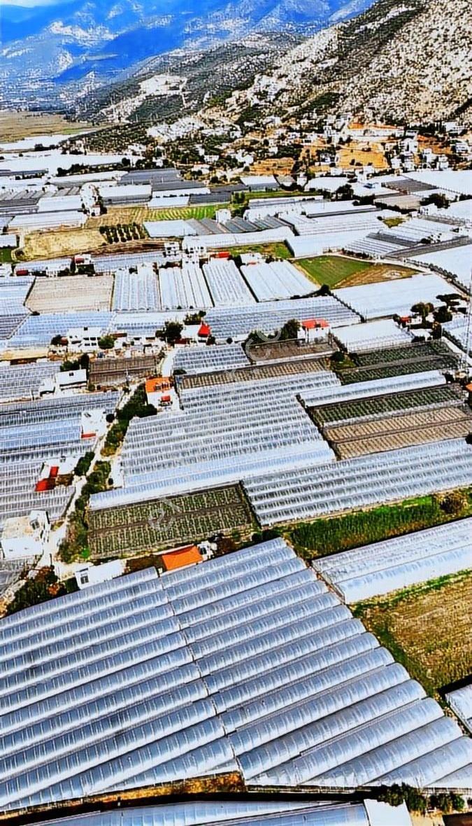Kazançlı Tarım Ve Yatırım Kaş Yeşilköy De Satılık Sera - Görsel 17