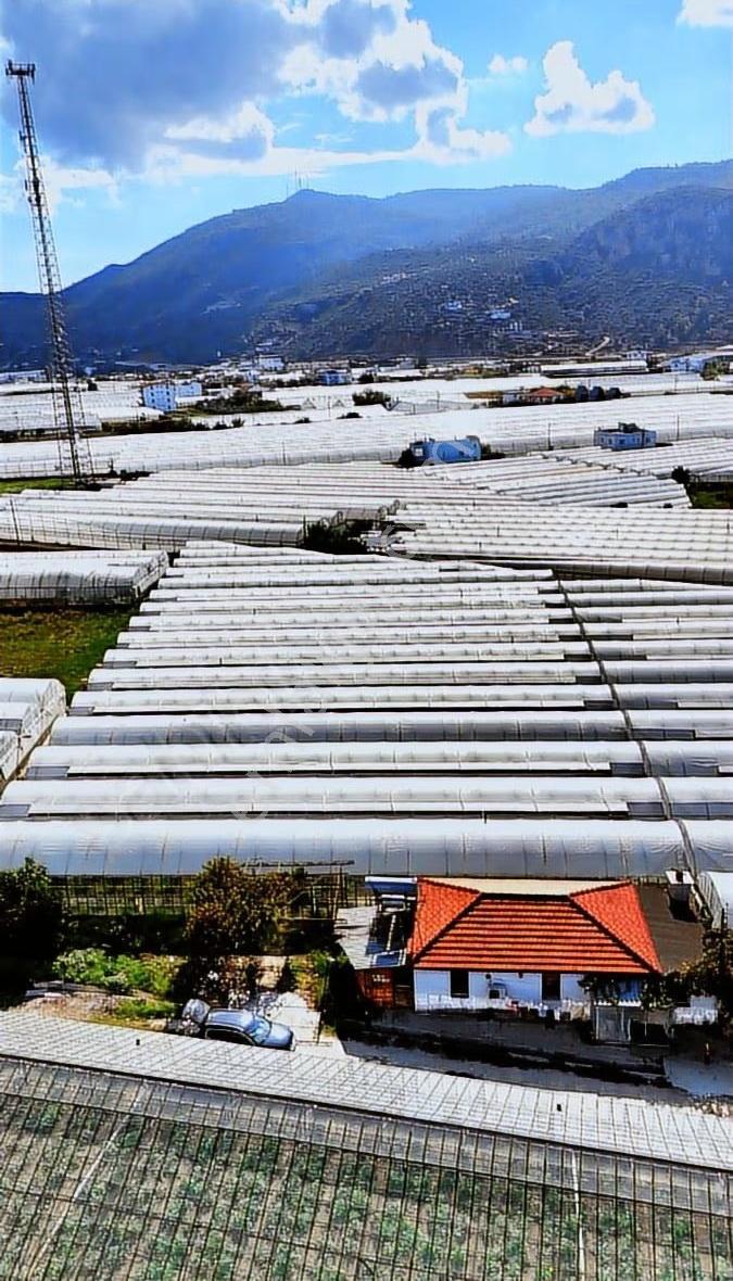 Kazançlı Tarım Ve Yatırım Kaş Yeşilköy De Satılık Sera - Görsel 26