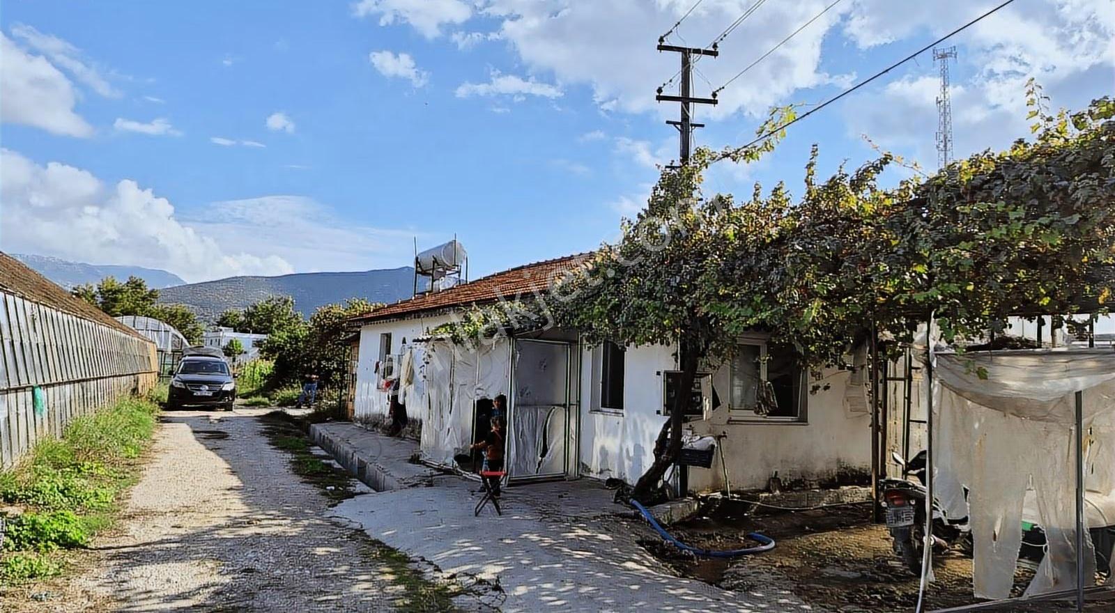 Kazançlı Tarım Ve Yatırım Kaş Yeşilköy De Satılık Sera - Görsel 18