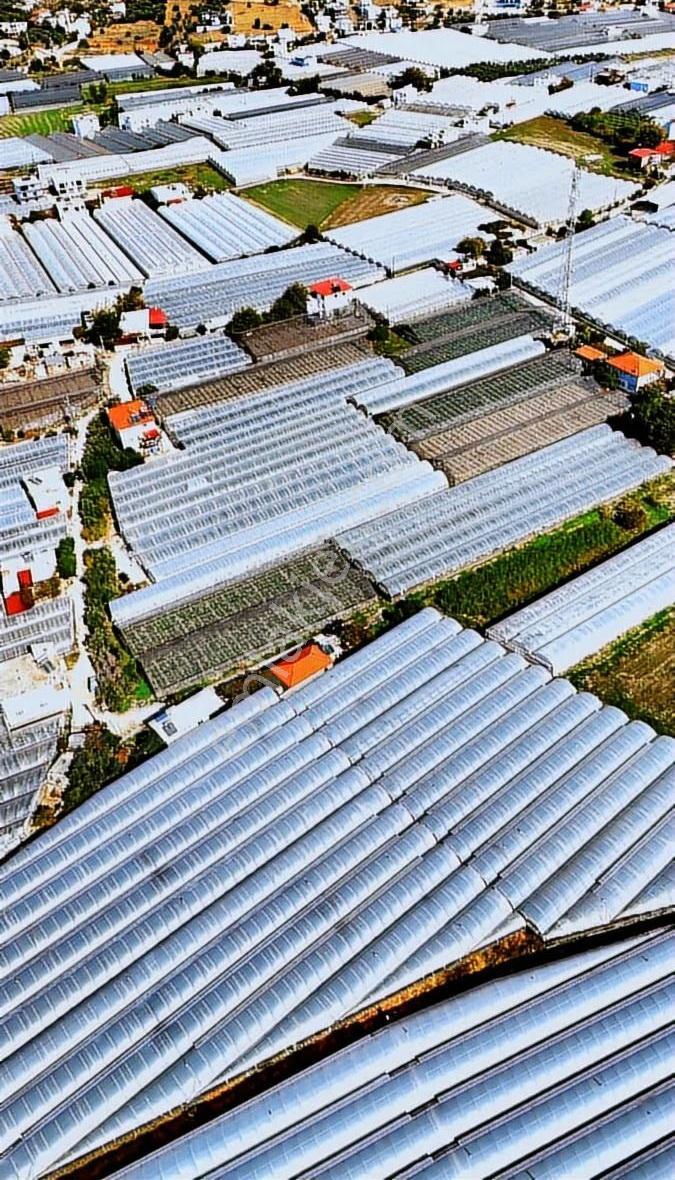 Kazançlı Tarım Ve Yatırım Kaş Yeşilköy De Satılık Sera - Görsel 3