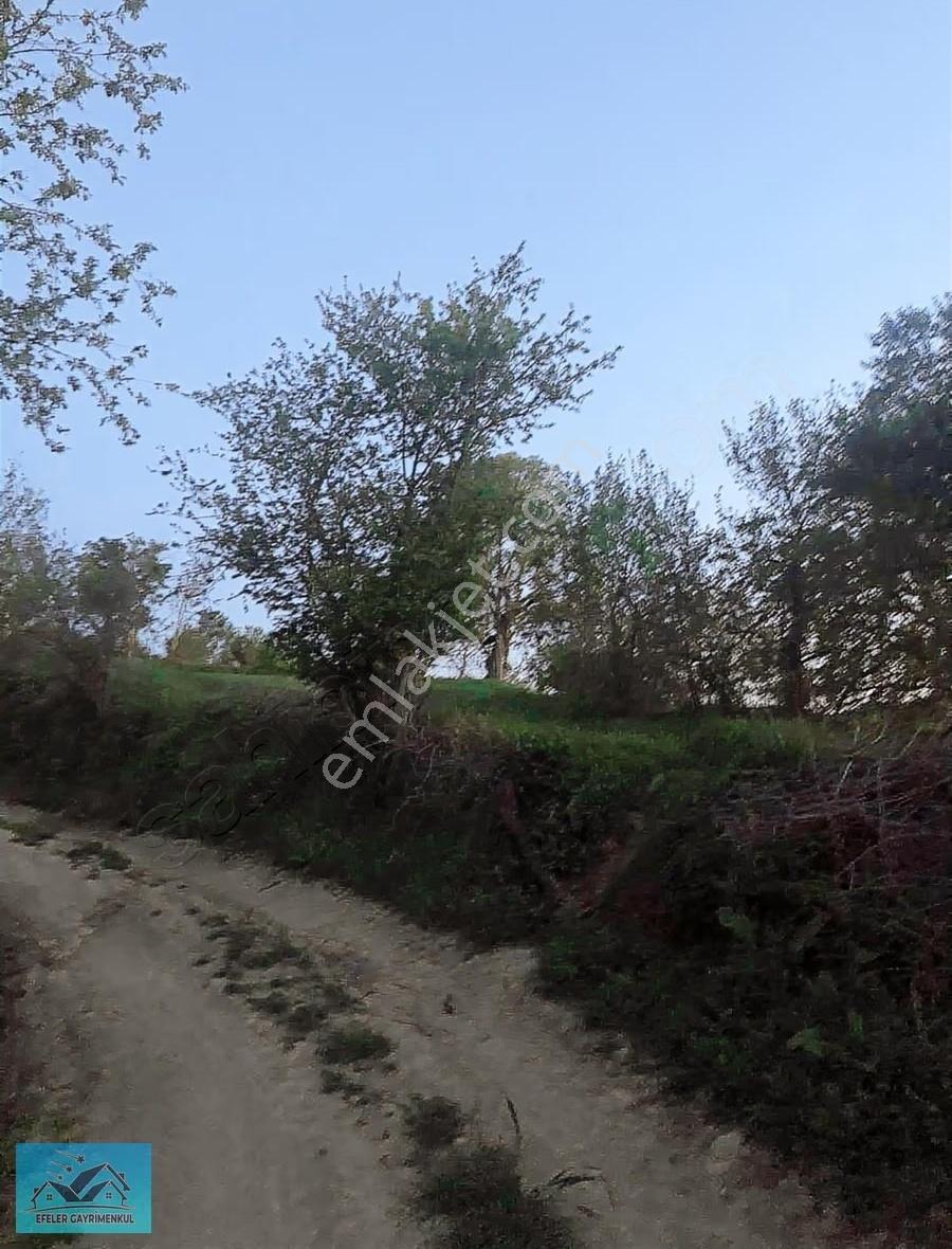 Tekirdağ Süleymanpaşa Oğuzlu Köy İçi 125 Mt Arsa Manzaralı - Görsel 2