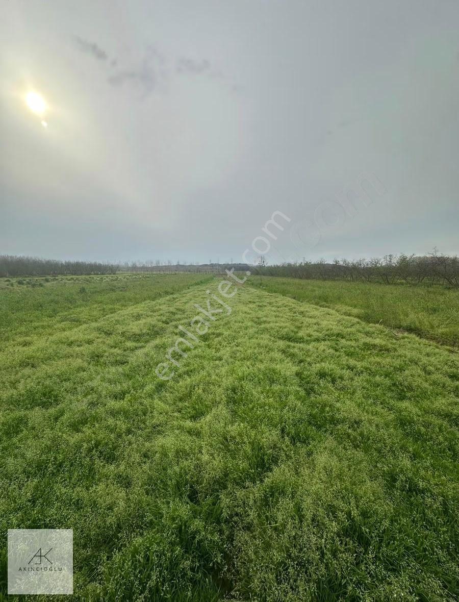 Köy Merkezine 700 Metre Satılık 1306 M² Tarla - Görsel 2