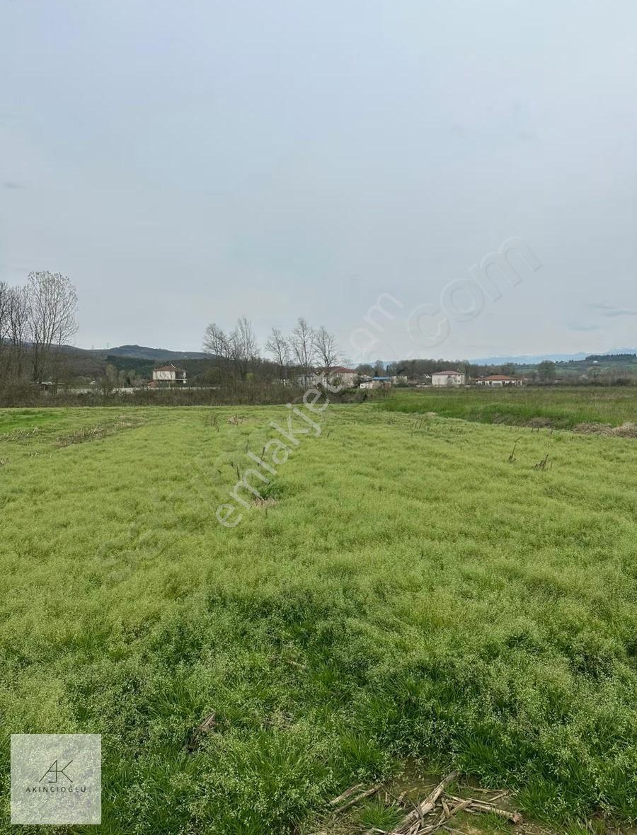 Köy Merkezine 600 Metre Yola Cepheli 1248 M² Tarla