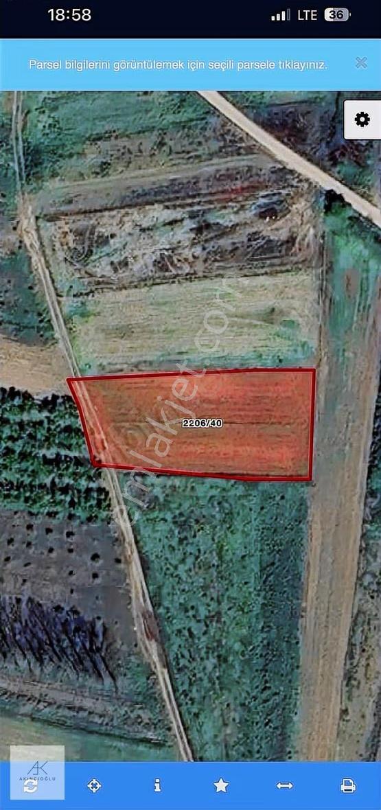 Köy Merkezine 600 Metre Yola Cepheli 1248 M² Tarla - Görsel 3