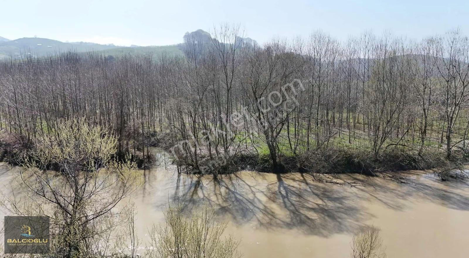 Balcıoğlundan Melen Neh.cephe 2860 M2 Resmi Yollu Kavaklık Arsa - Görsel 2