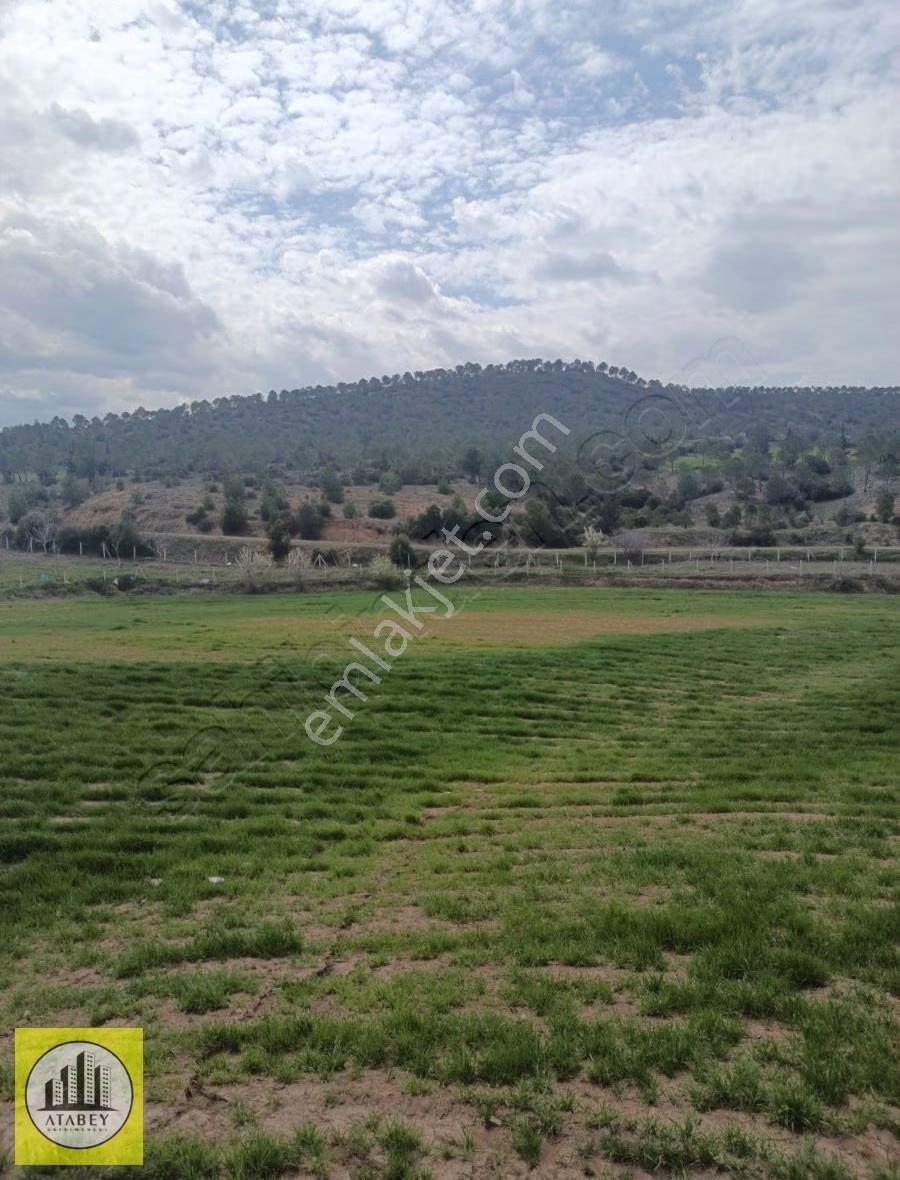 Denizli Bozkurt Ali Kurt Satılık Tarla - Görsel 7