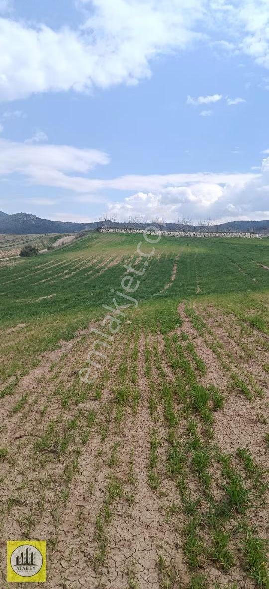 Denizli Bozkurt Ali Kurt Satılık Tarla - Görsel 11