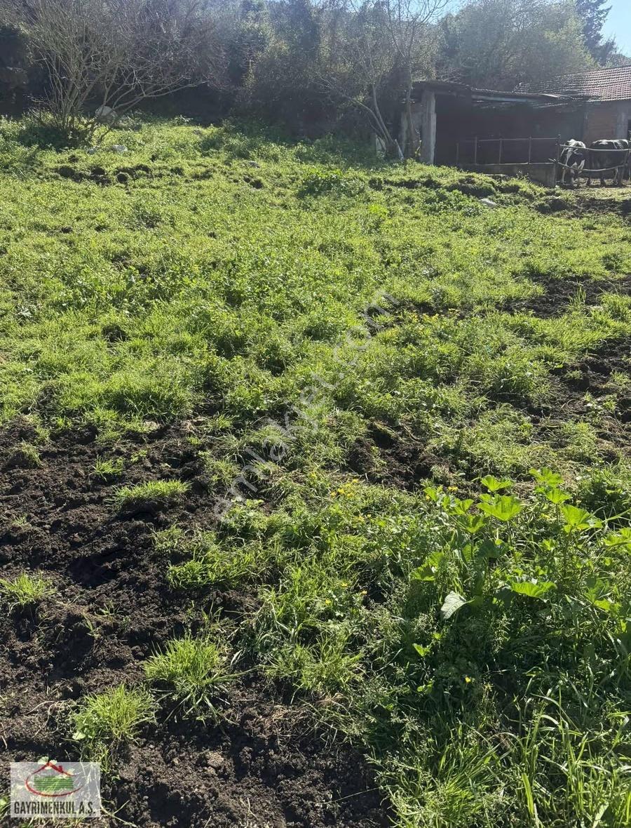 Yola 30m Cephe 1200m2 Bahçeli Köy Evi - Görsel 7