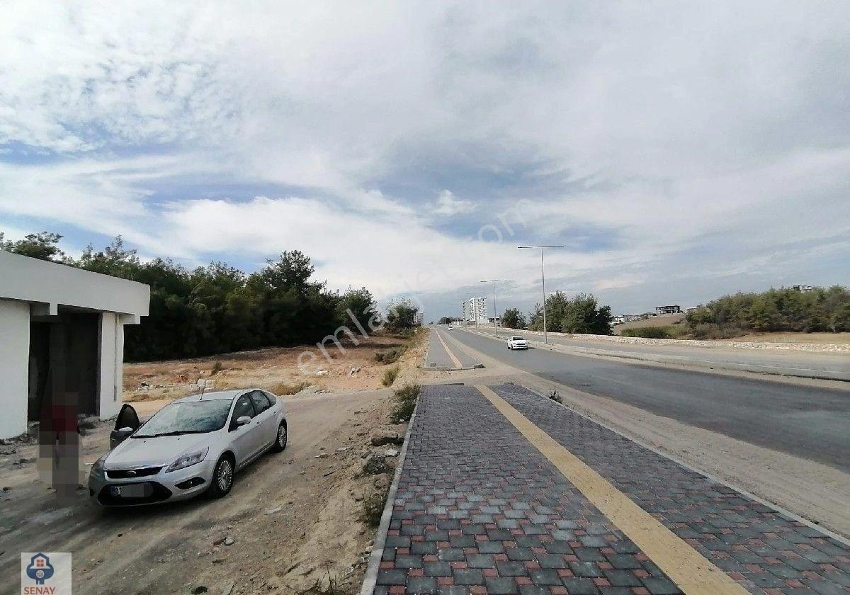 Senay'dan Satlık 1+1 Fırsat Daire. - Görsel 3