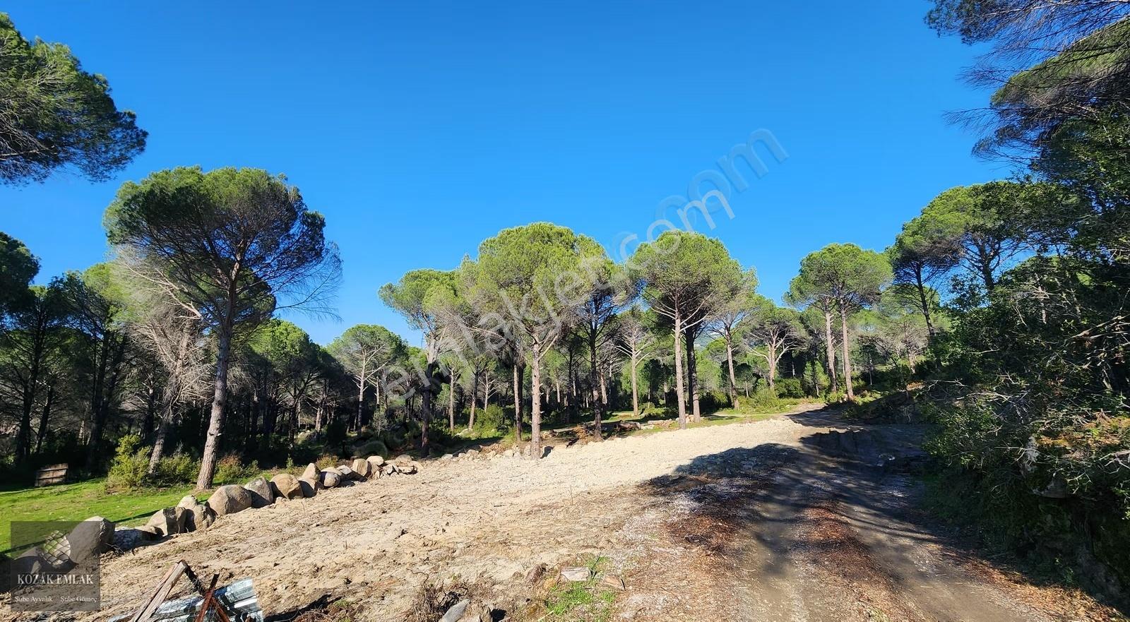 Bergama Kozak Demircidere Köyünde Satılık Bahçe - Görsel 3