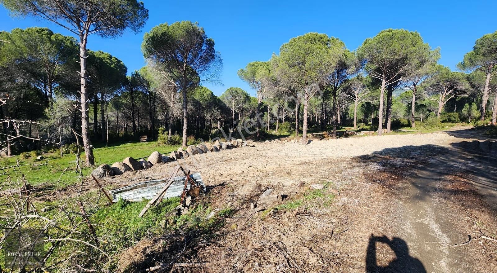 Bergama Kozak Demircidere Köyünde Satılık Bahçe - Görsel 2