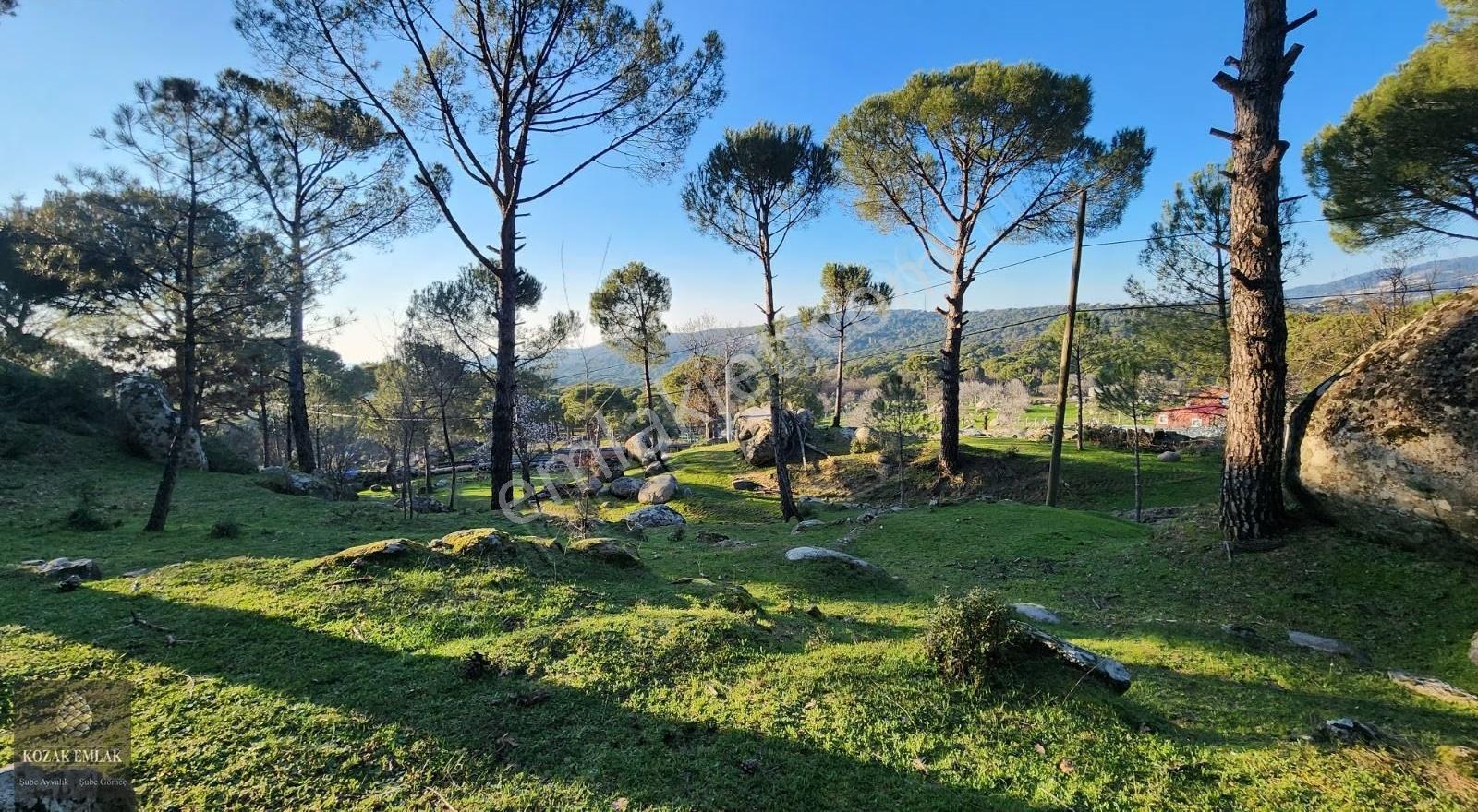 İzmir Bergama Hisar İmarlı Arsa 695 M2 Satılık - Görsel 23