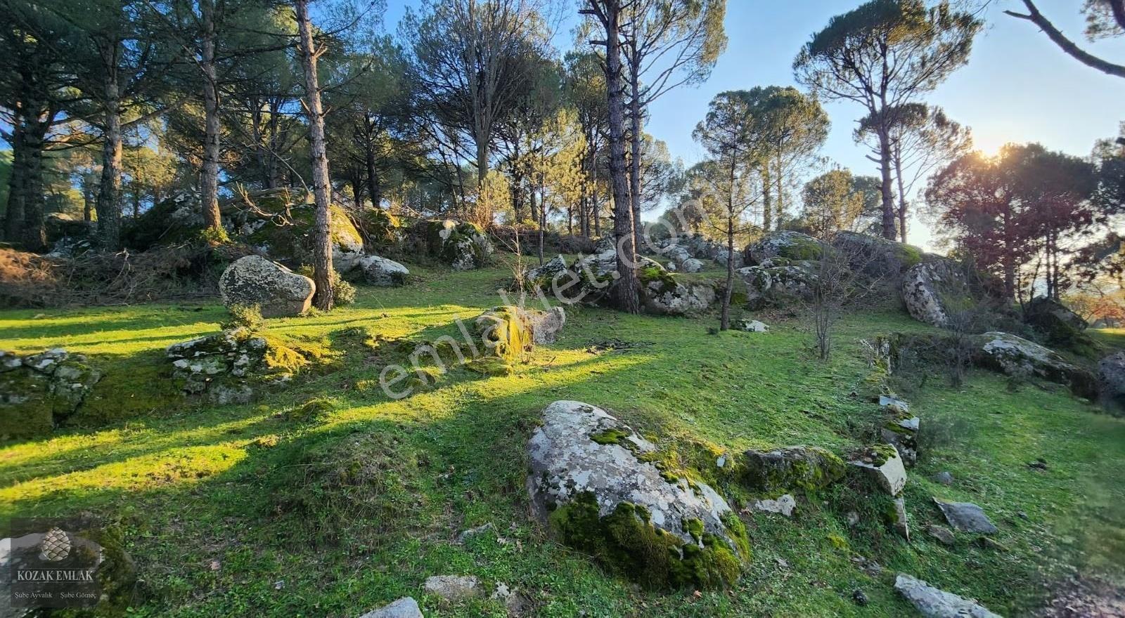 İzmir Bergama Hisar İmarlı Arsa 695 M2 Satılık - Görsel 26