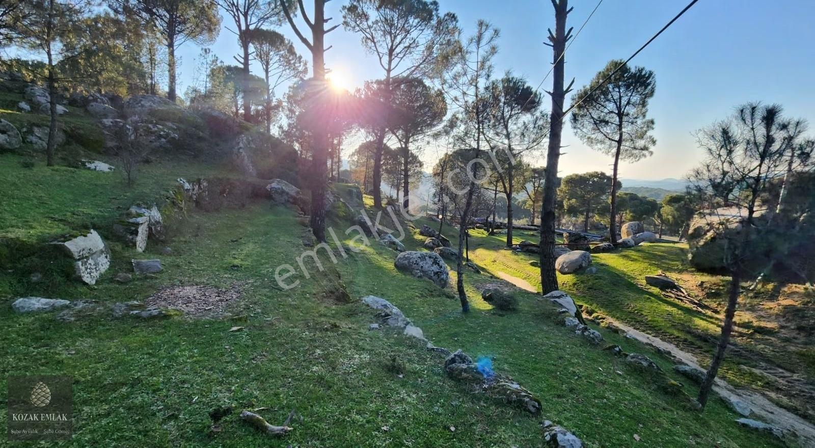 İzmir Bergama Hisar İmarlı Arsa 695 M2 Satılık - Görsel 5