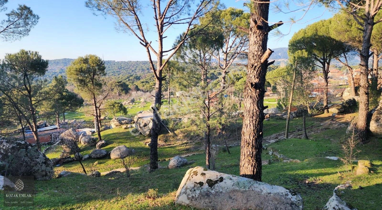 İzmir Bergama Hisar İmarlı Arsa 695 M2 Satılık - Görsel 32