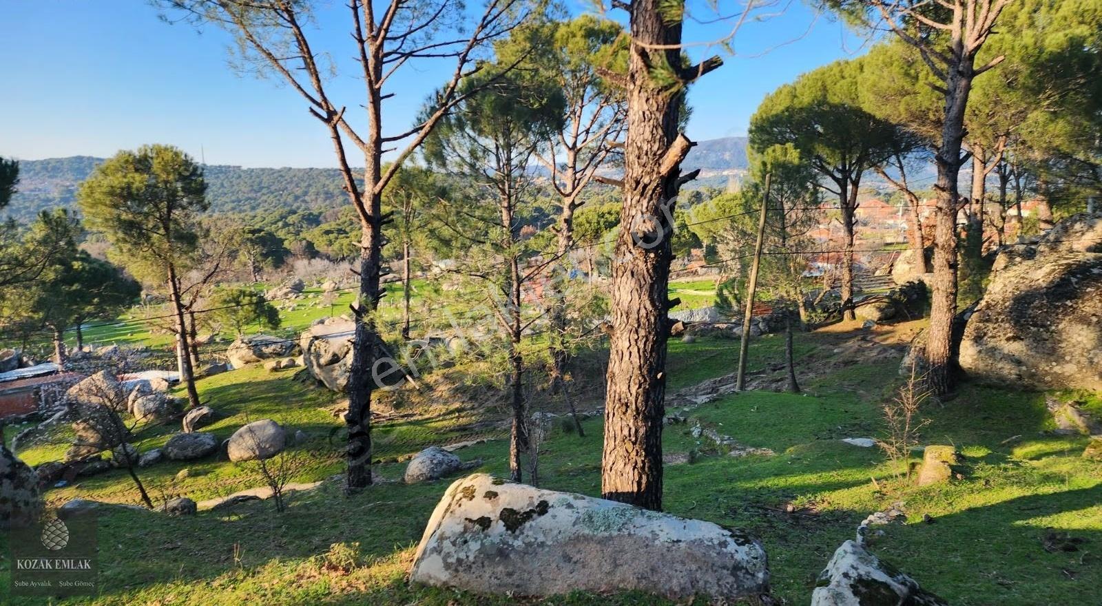 İzmir Bergama Hisar İmarlı Arsa 695 M2 Satılık - Görsel 9