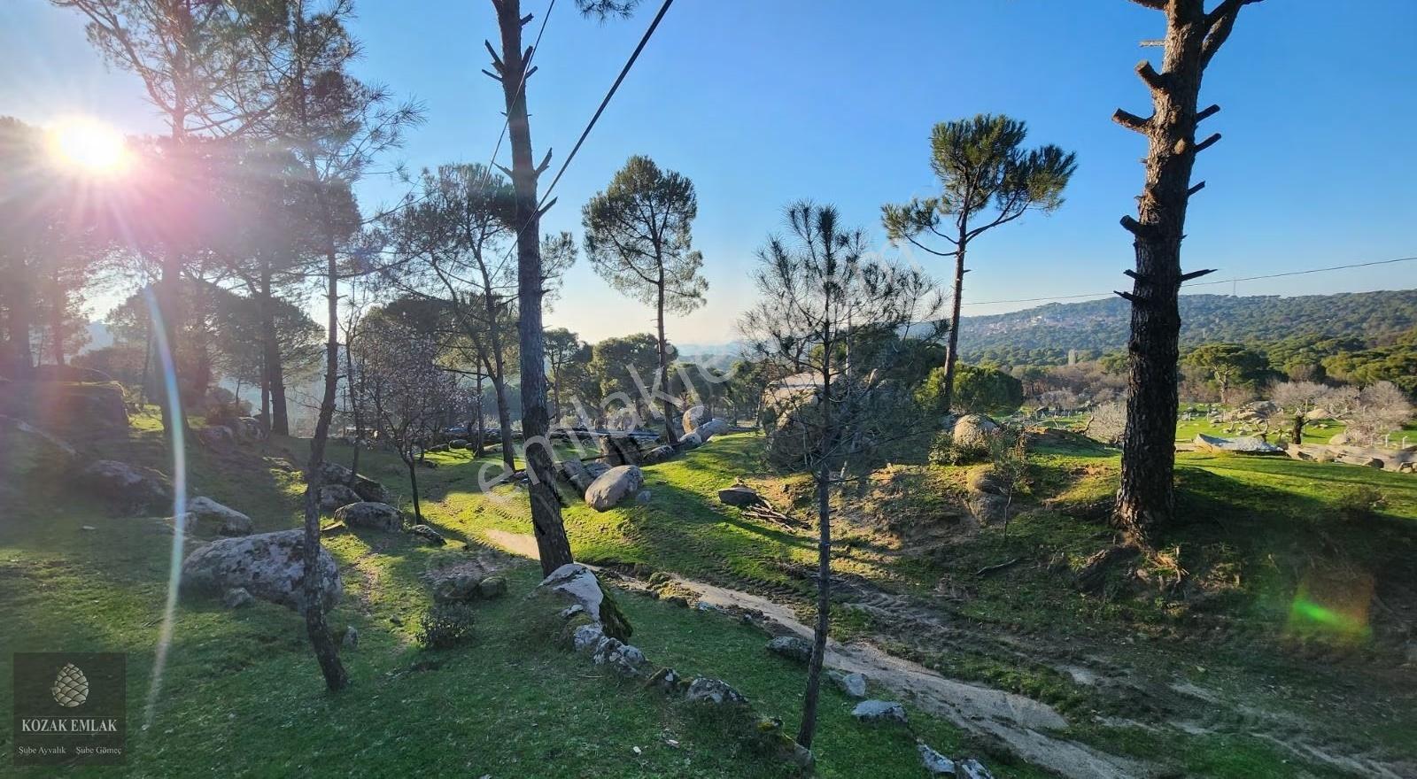 İzmir Bergama Hisar İmarlı Arsa 695 M2 Satılık - Görsel 15