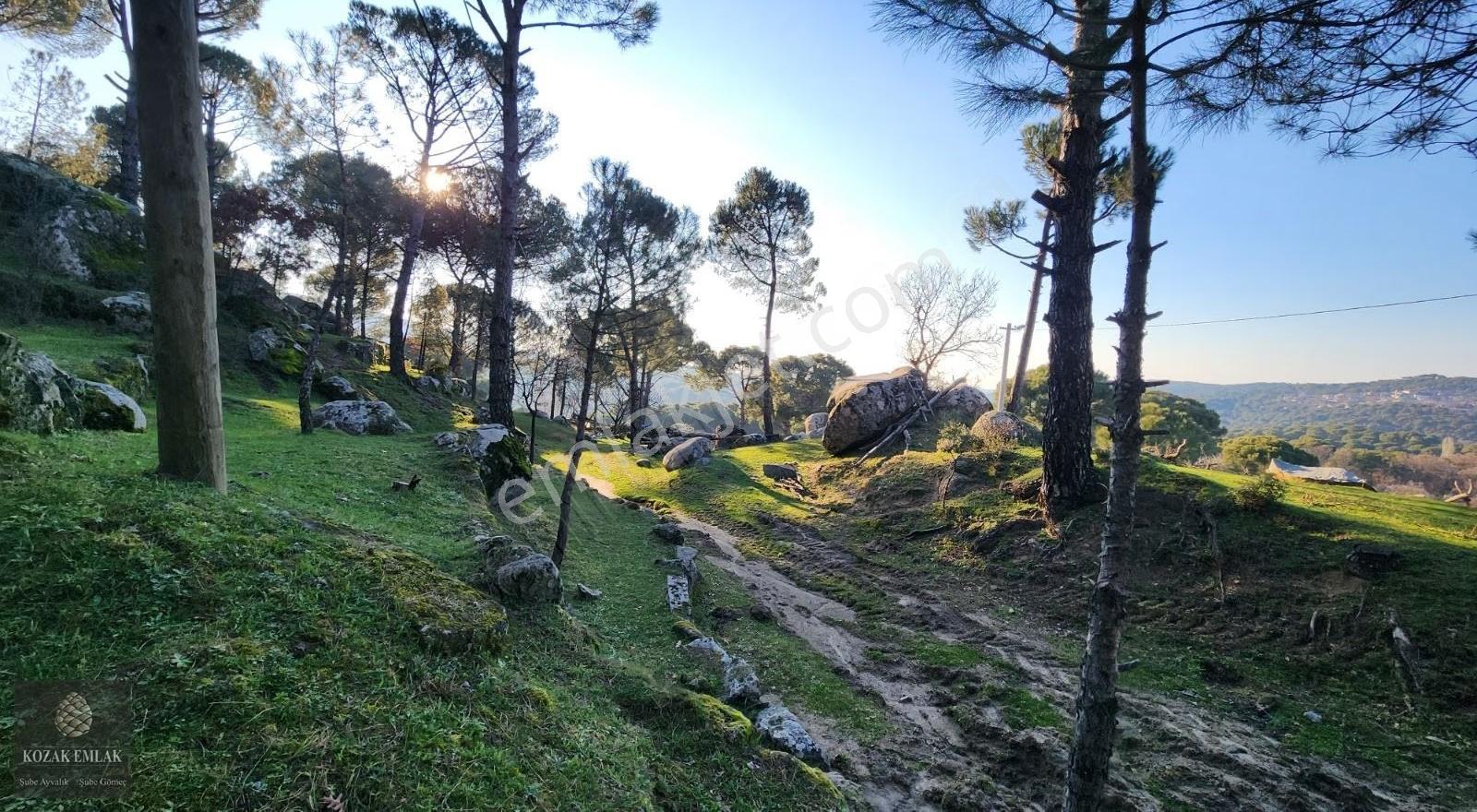 İzmir Bergama Hisar İmarlı Arsa 695 M2 Satılık - Görsel 18