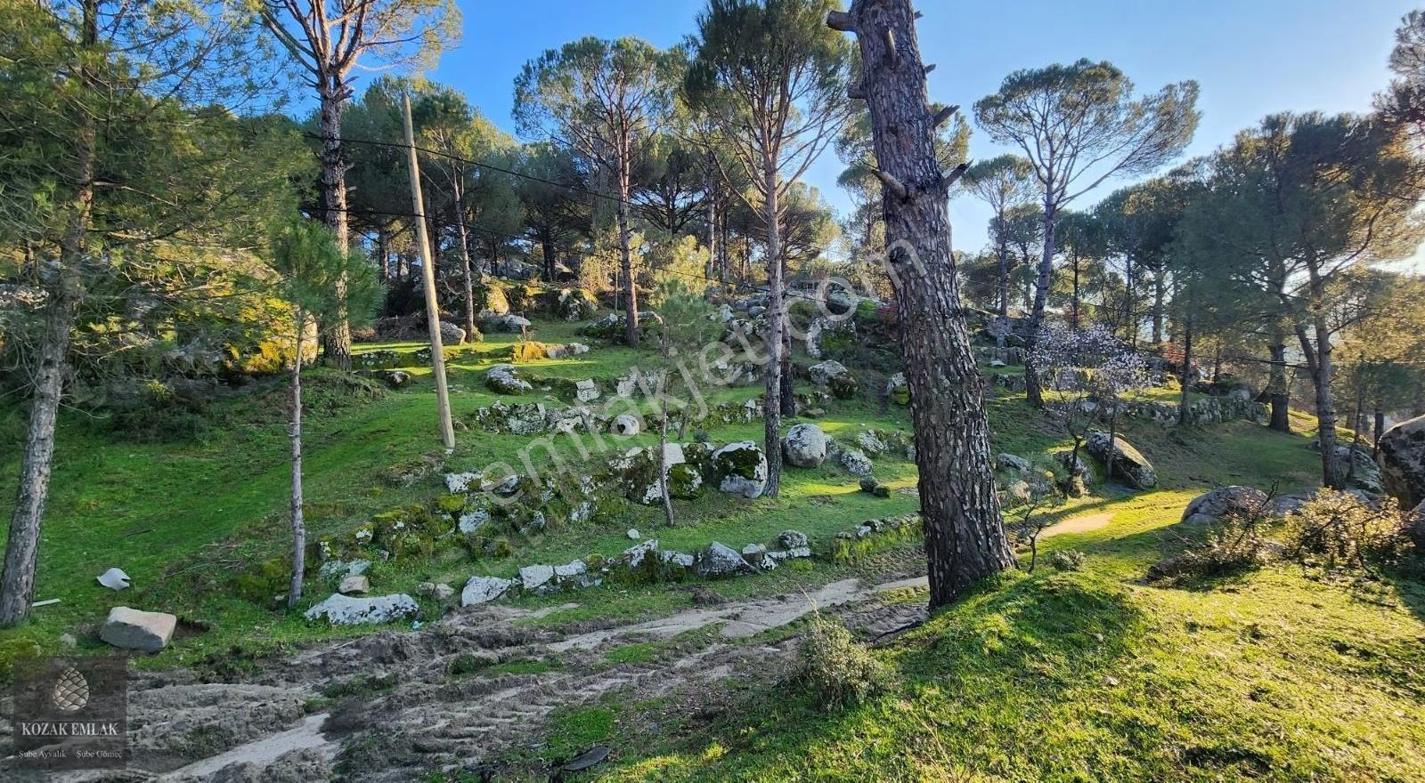 İzmir Bergama Hisar İmarlı Arsa 695 M2 Satılık - Görsel 17