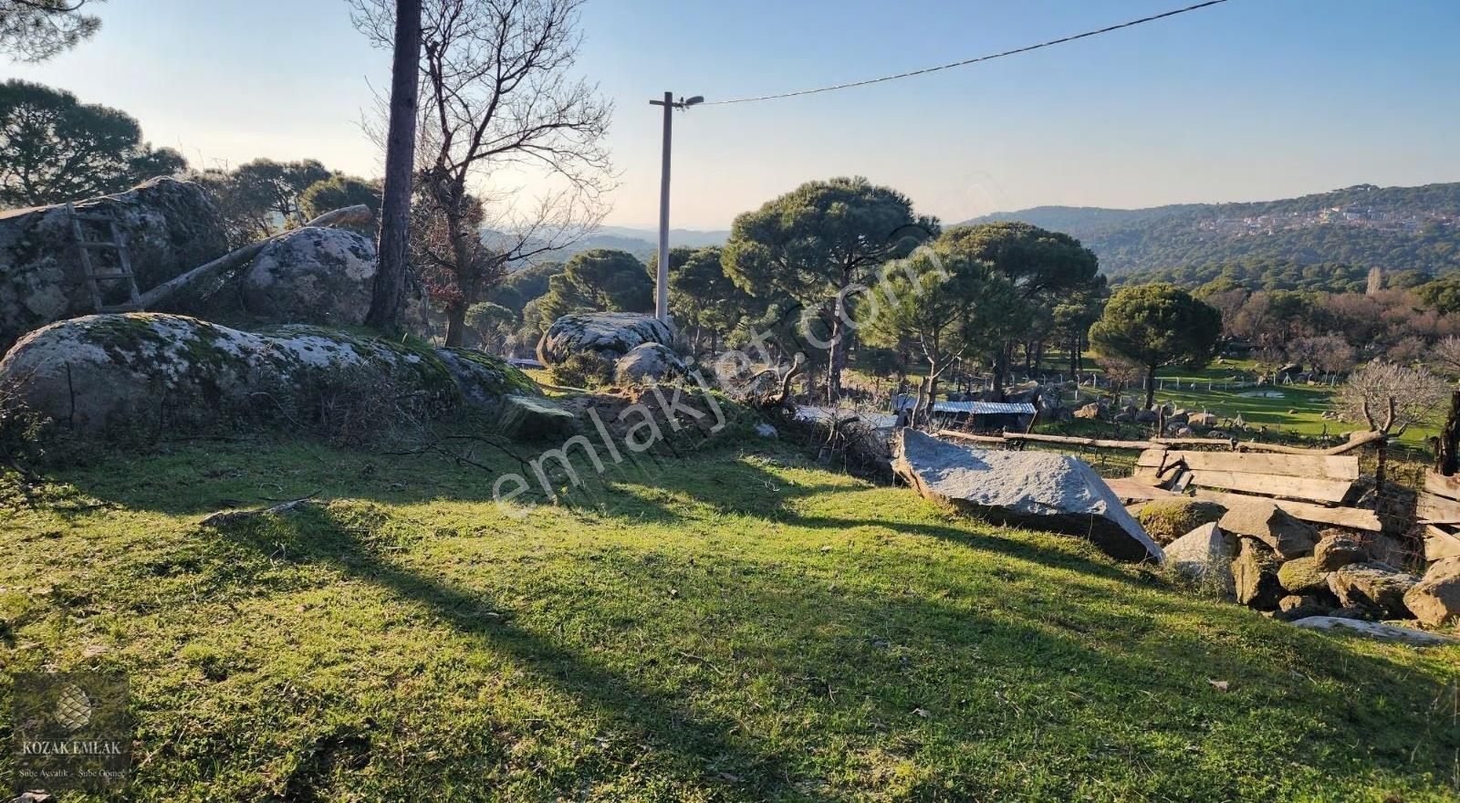 İzmir Bergama Hisar İmarlı Arsa 695 M2 Satılık - Görsel 14