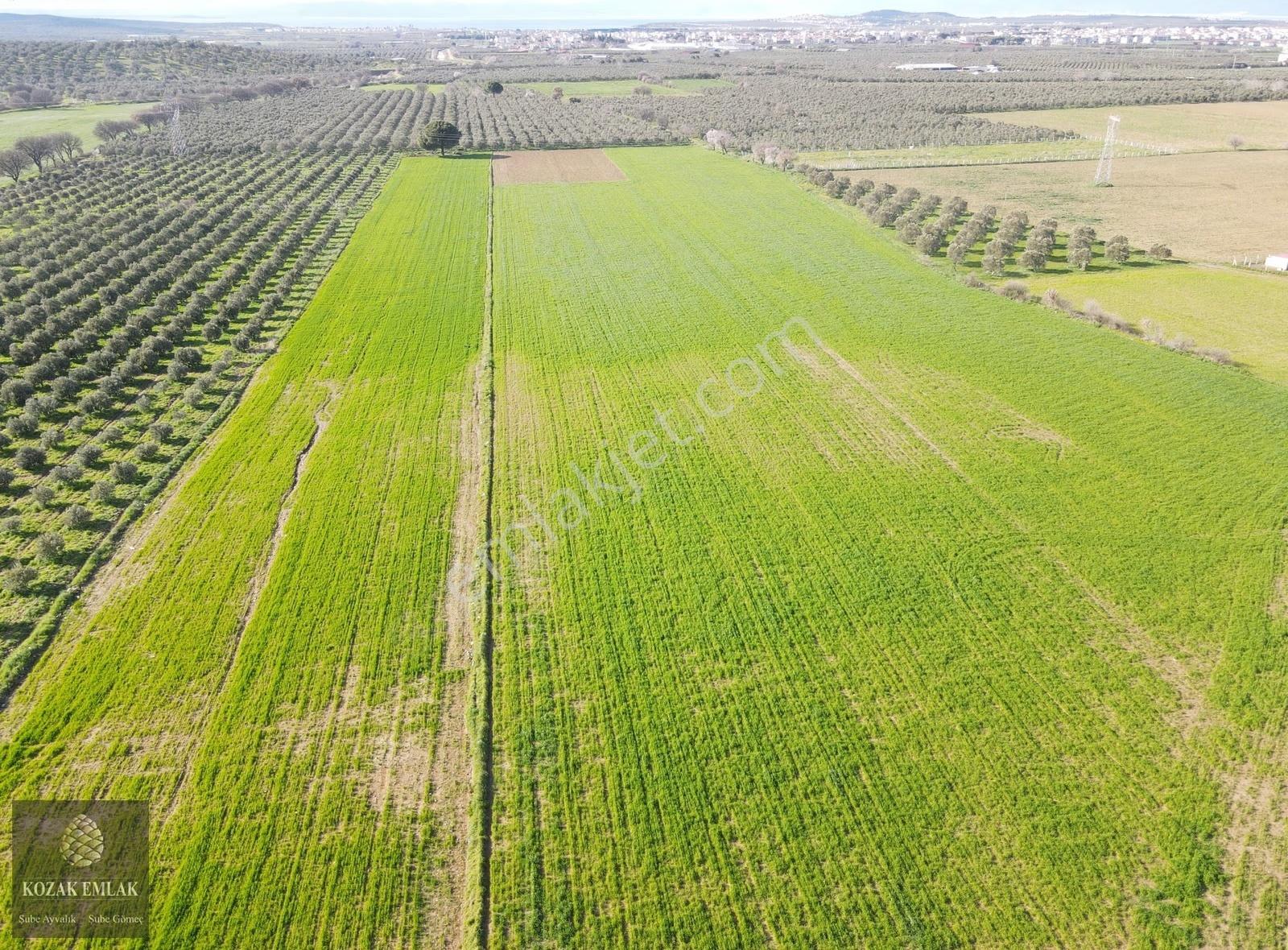 Balıkesir Gömeç Dursunlu Tarla Satılık - Görsel 17