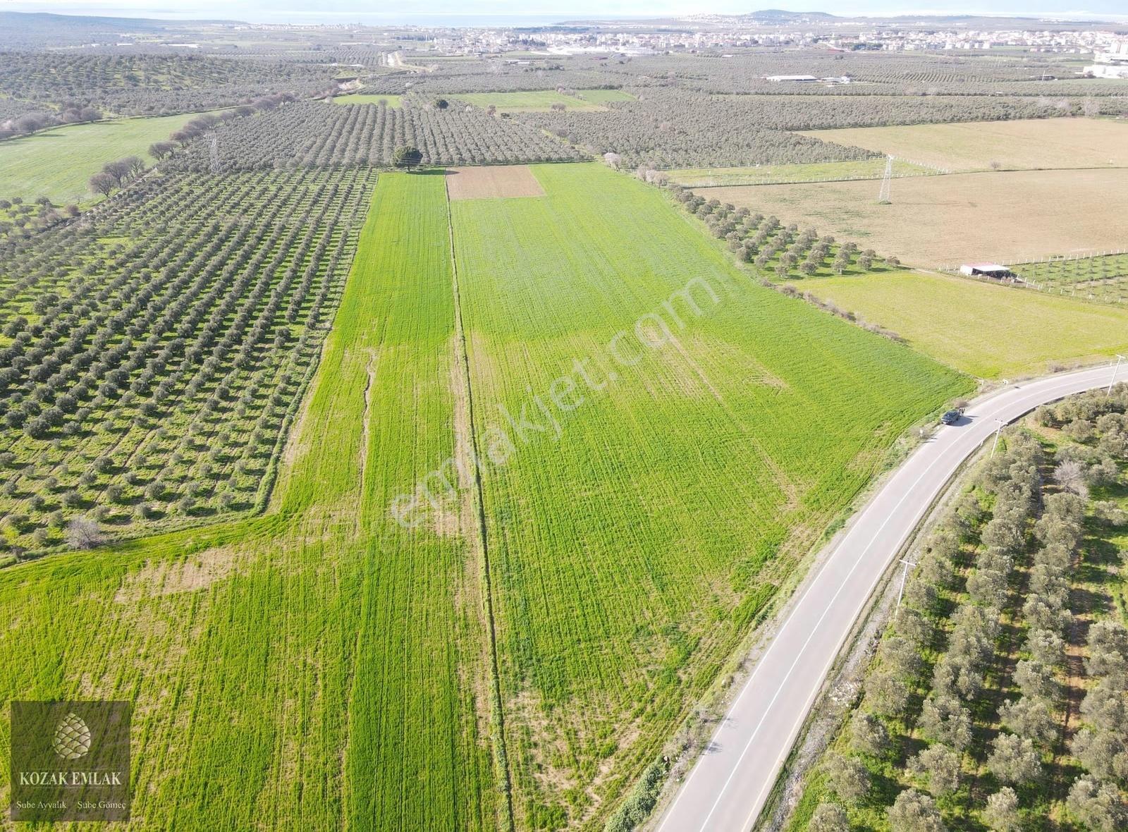Balıkesir Gömeç Dursunlu Tarla Satılık - Görsel 9
