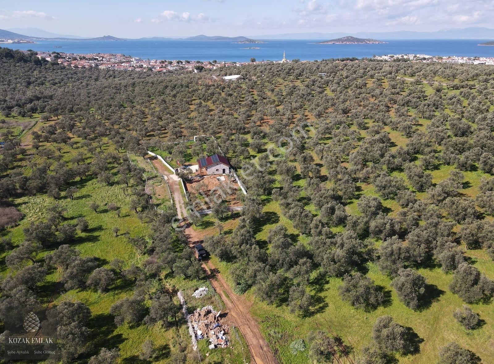 Ayvalıkta İmara Yakın Sahilkentte Satılık Zeytinlik - Görsel 10
