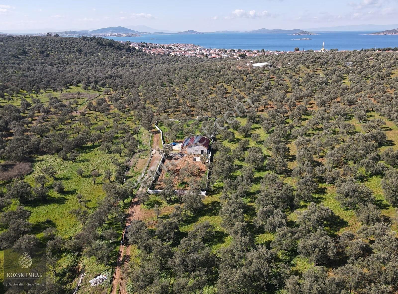 Ayvalıkta İmara Yakın Sahilkentte Satılık Zeytinlik - Görsel 7