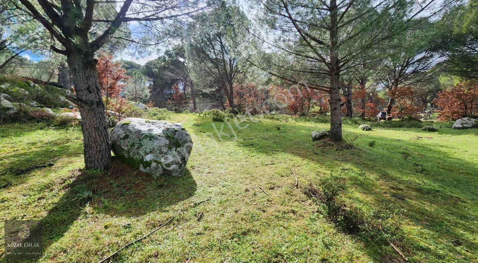 Ayvalık Bağyüzü'nde Satılık 3.158m² Müstakil Tapulu Bağ - Görsel 16