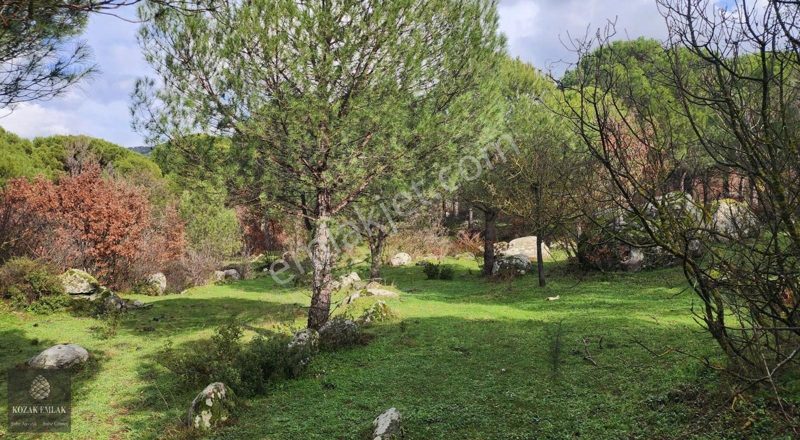 Ayvalık Bağyüzü'nde Satılık 3.158m² Müstakil Tapulu Bağ - Görsel 8