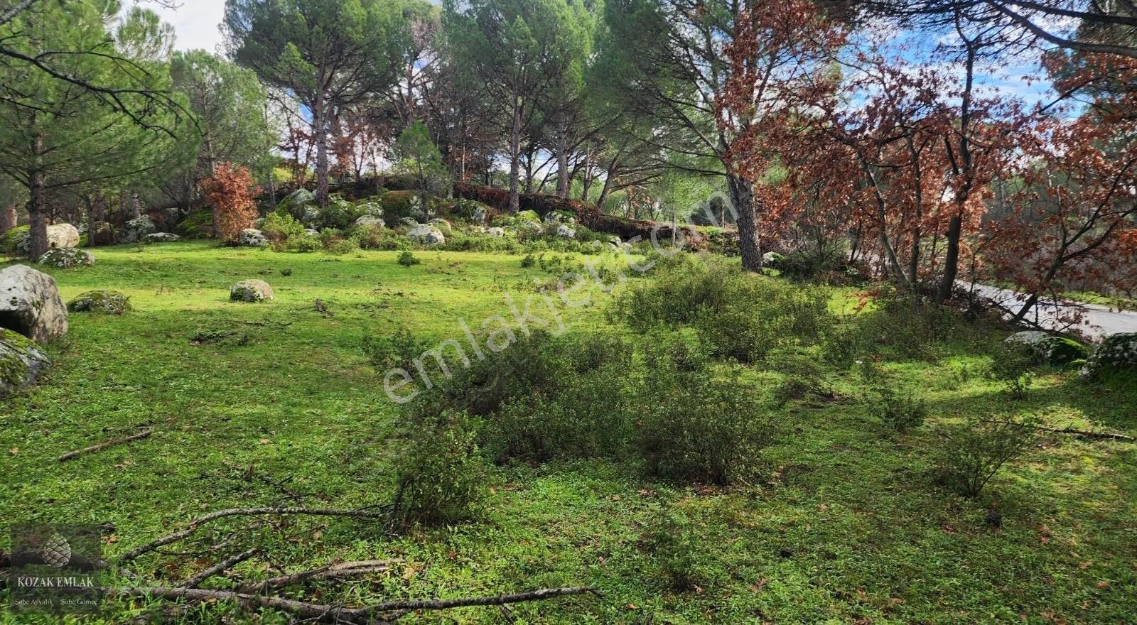Ayvalık Bağyüzü'nde Satılık 3.158m² Müstakil Tapulu Bağ - Görsel 12