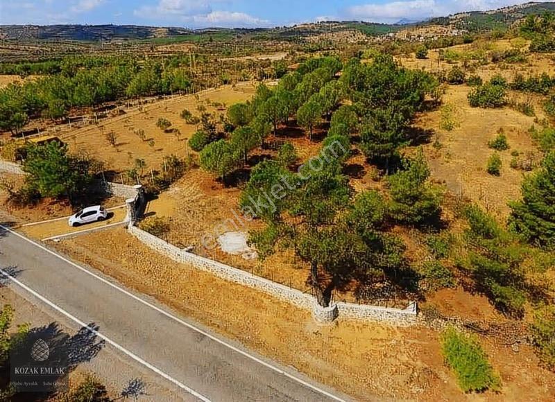 Havran Tarlabaşı'nda Satılık İçinde Kamelyası Olan Yatırımlık