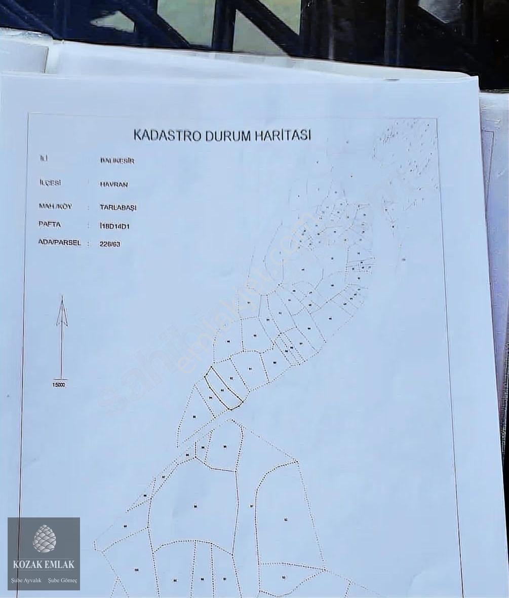 Havran Tarlabaşı'nda Satılık İçinde Kamelyası Olan Yatırımlık - Görsel 2