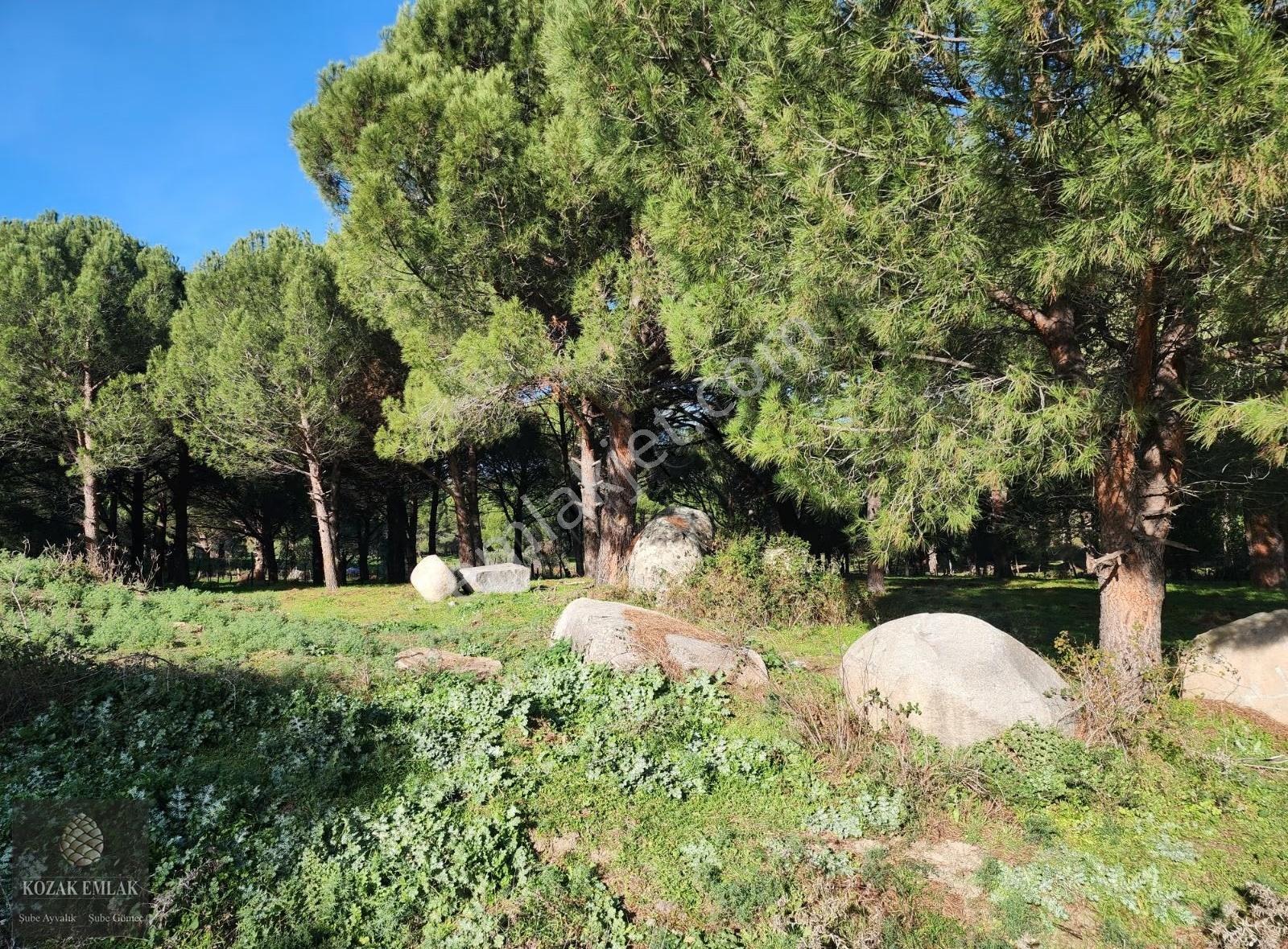 Bergama Kozak'ta Satılık 665m² Müstakil Tapulu Bağ Arsası - Görsel 20
