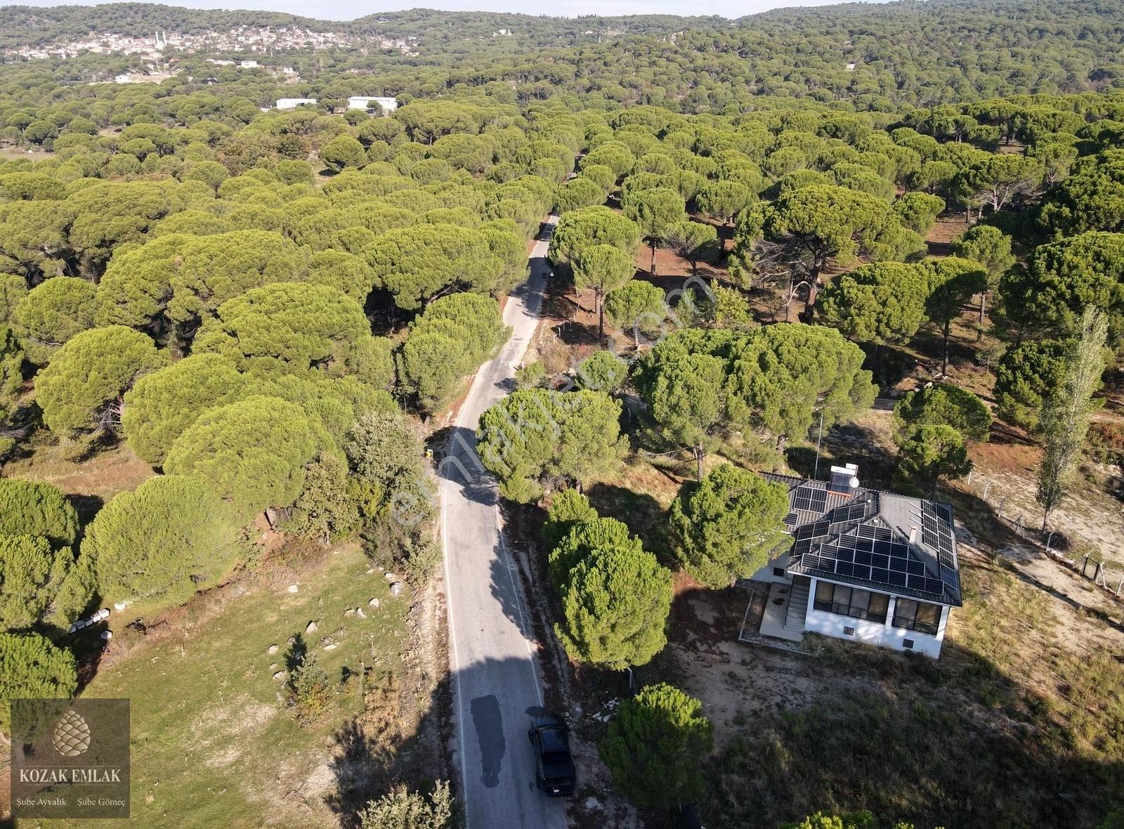 Ayvalık Bagyüzü 5.300 M2 Bahçe İçinde Köy Evi Satılık