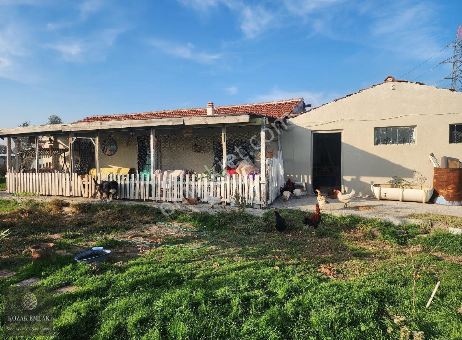 Ayvalık Fethiye M.h Tarım Arazisi Yapı Ruhsatlı Satılık - Görsel 10