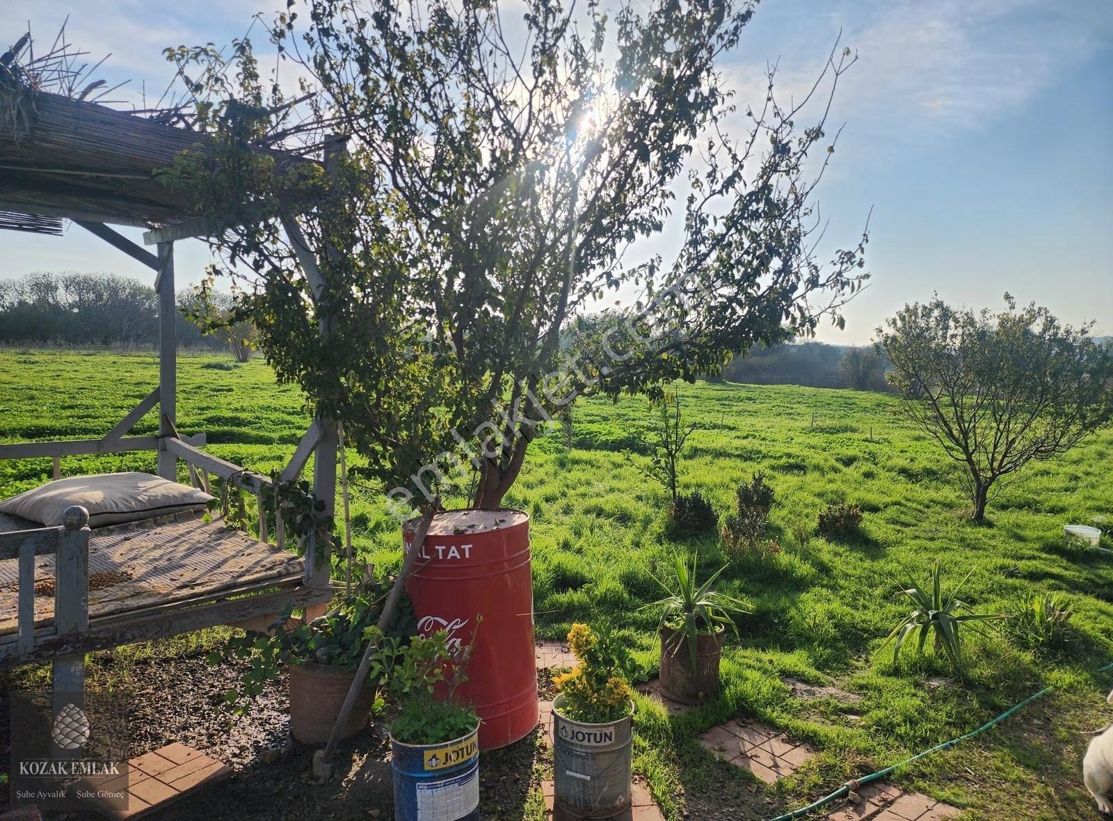 Ayvalık Fethiye M.h Tarım Arazisi Yapı Ruhsatlı Satılık - Görsel 14