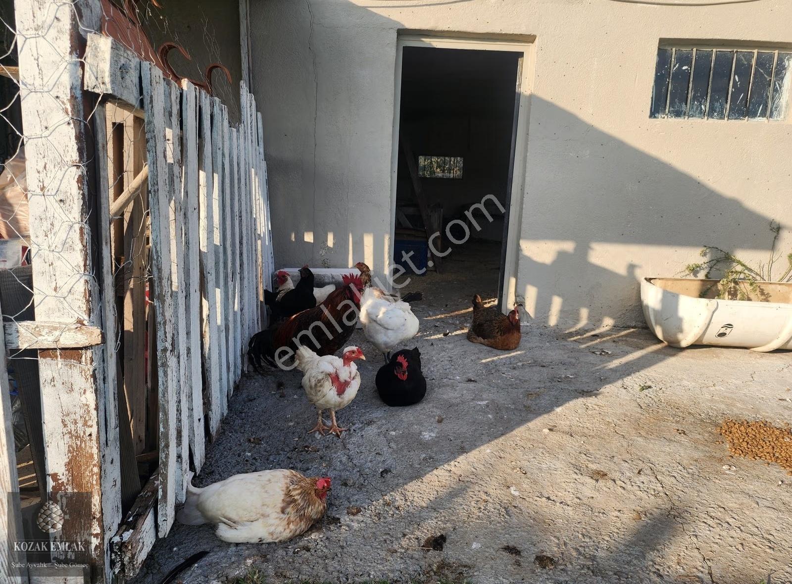 Ayvalık Fethiye M.h Tarım Arazisi Yapı Ruhsatlı Satılık - Görsel 29
